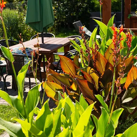 Privatunterkunft Agrokwatera Stary Dab *