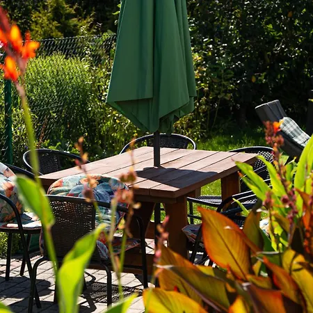 Agrokwatera Stary Dab *