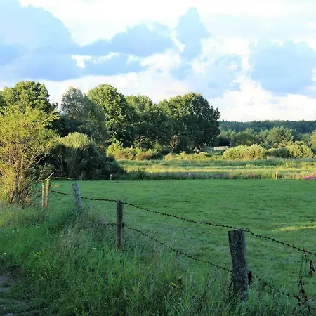 Agrokwatera Stary Dab Czarny Mlyn