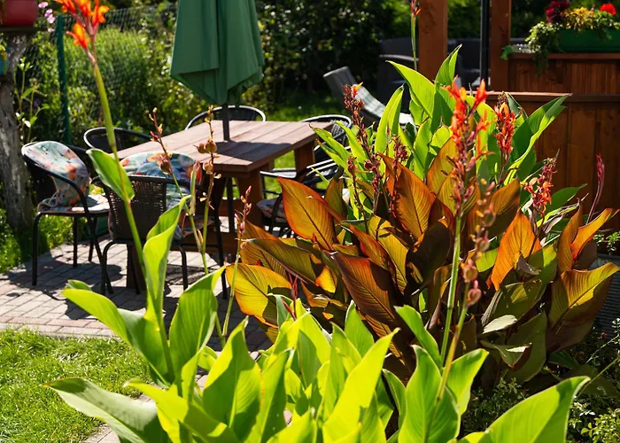 منزل للإقامة Agrokwatera Stary Dab *