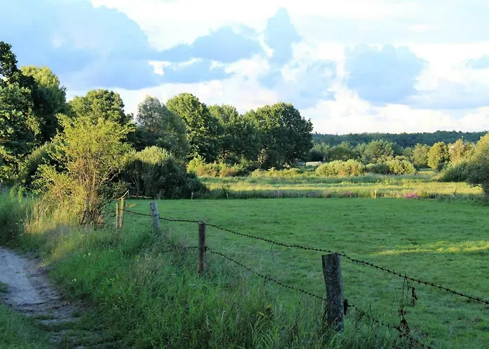 Agrokwatera Stary Dab Czarny Mlyn