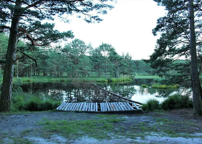 منزل للإقامة Agrokwatera Stary Dab *